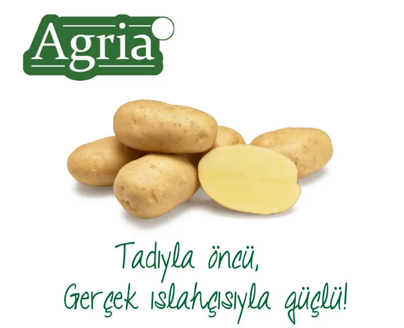 Agria