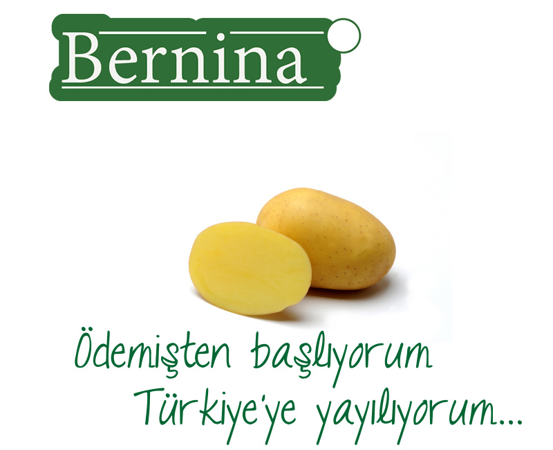 Bernina