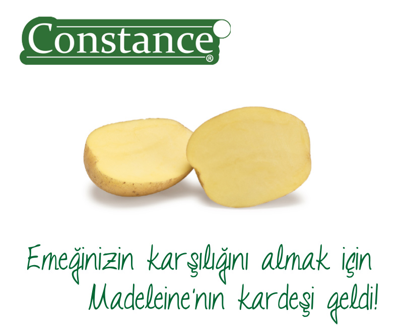 Constance