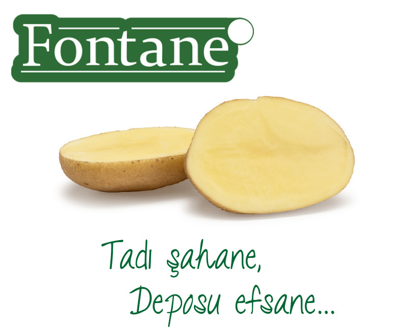 Fontane