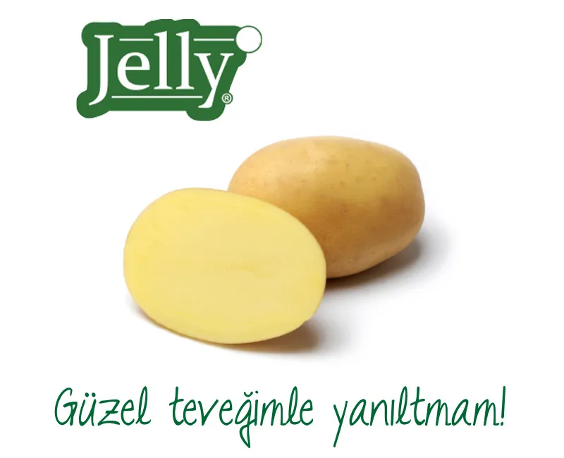 Jelly