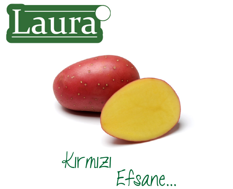 Laura
