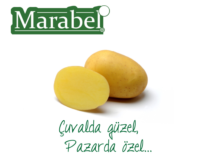 Marabel