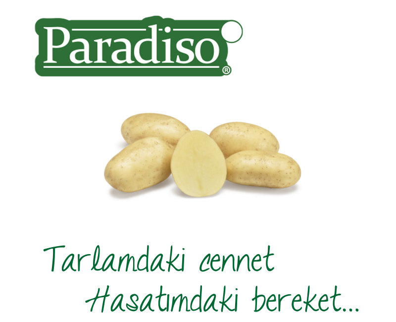 Paradiso