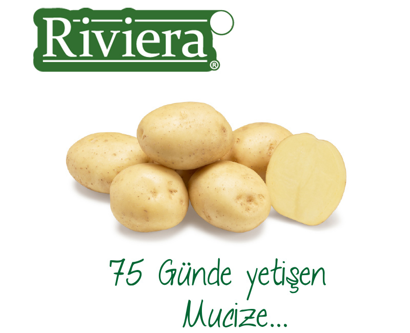 Riviera