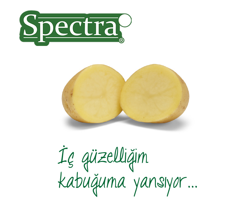 Spectra